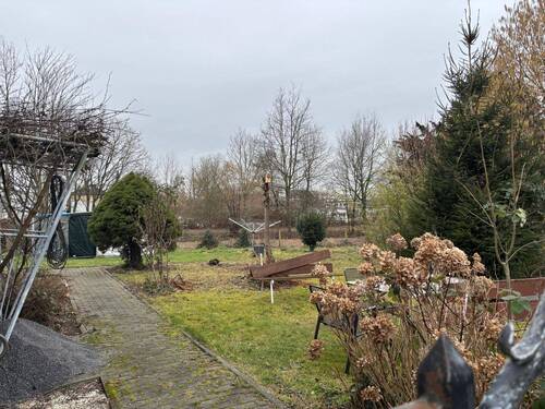 WhatsApp Image 2026-03-03 at 20.06.16.jpeg - 