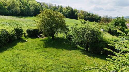 14 Gartenansicht - 