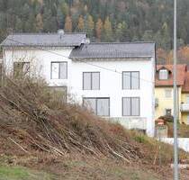 Neubau-Moderne Häuser in Bad Wildbad, profisionsfrei!