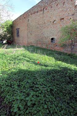 Garten hinten (4).jpg - 