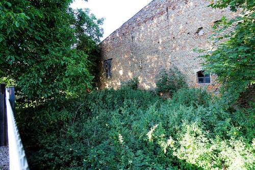 Blick in den Gartenbereich (5).jpg - 