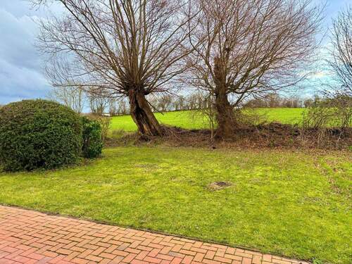 Blick auf anliegende Landschaft - Reihenendhaus mit 81,70 m&sup2; in Boltenhagen zur Miete