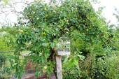 IMG_3788 - 