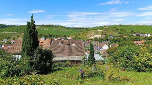 Gartenimpressionen 2 - 