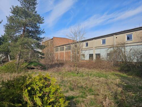 Bild 13 - 