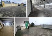 Bild 1 - Pfeilerfreie Lagerhalle mit 2 Rolltoren, Büro, Teeküche, WC & zusätzl. Freifläche