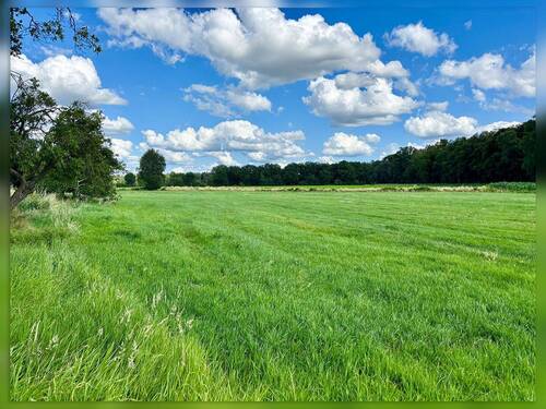Weidefläche - 