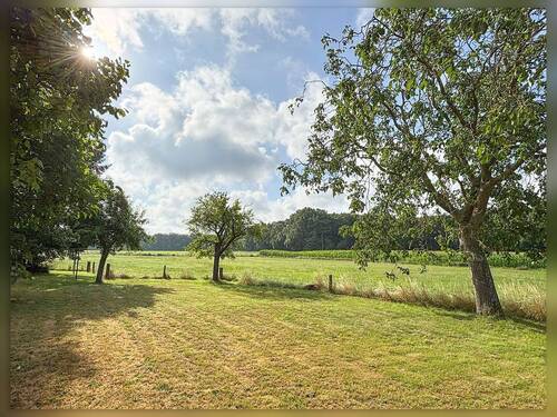 Streuobstwiese - 