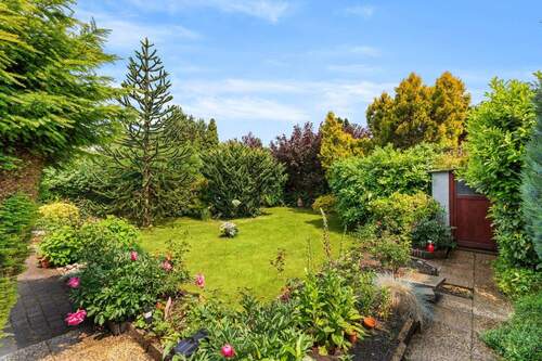 Blick in den Garten - 