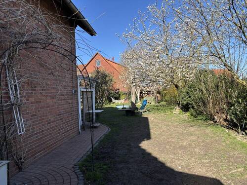 3239 Blick in den Garten - 