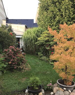 Blick zur Terrasse - 