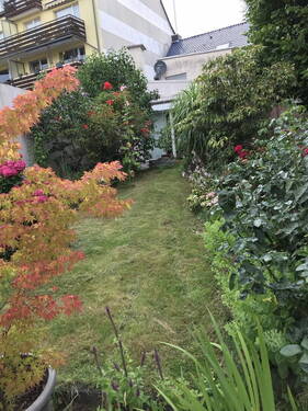 Blick zur Terrasse - 