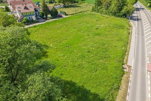 Grundstück 2500 m2 Hillesheim Ortslage - Grundstück zum Kaufen in Hillesheim
