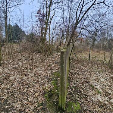 Bild 7 - 