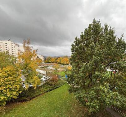 Aussicht - 4 Zimmer Etagenwohnung in Dudweiler