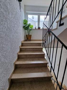 gepflegtes Treppenhaus (Hausmeisterdienst) - 