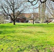 ** Großes Baugrundstück mit Bauernhaus ** - Eschenbach