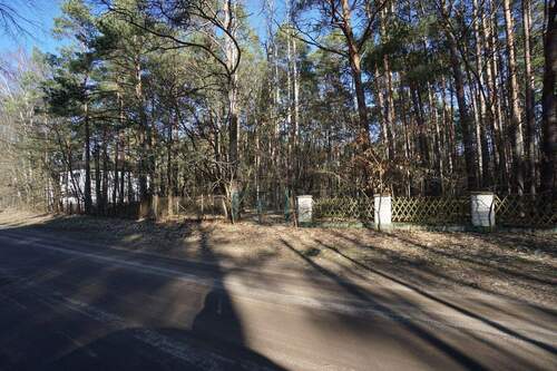 Straße vor dem Grundstück (1).jpg - 