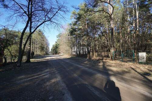 Straße vor dem Grundstück (2).jpg - Ein großes teilbares Baugrundstück in Borkwalde bei Potsdam