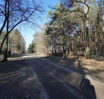 Ein großes teilbares Baugrundstück in Borkwalde bei Potsdam