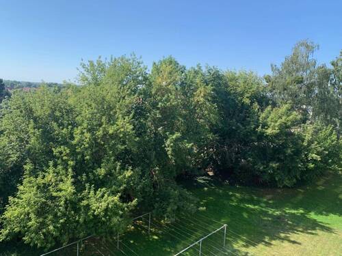 Ausblick - 