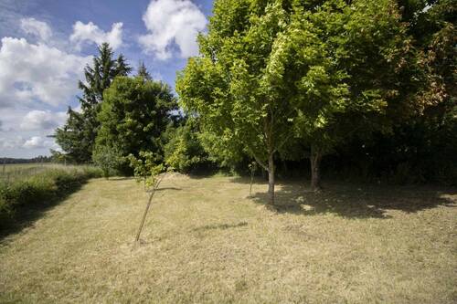 Streuobstwiese_ - 