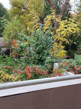 Blick vom Balkon - 
