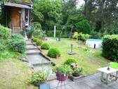 Blick in den Wald - 