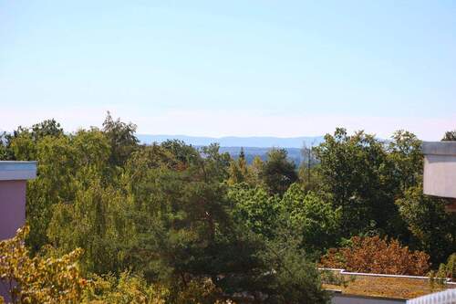 Ausblick - 