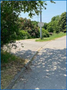 Richtung Fischweiher - 