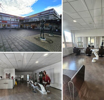 Große und moderne Laden-Büro-Praxisfläche, Lift, SP mgl. - Halle (Saale) Nördliche Neustadt