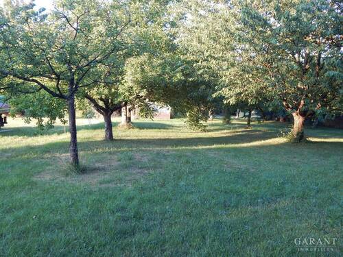 Grundstück - Traumhaftes Grundstück in exzellenter Lage mit großzügigem Gartenparadies