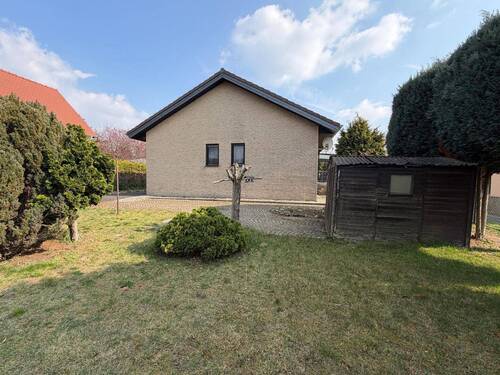 WhatsApp Image 2026-03-20 at 07.13.48 (39) - 