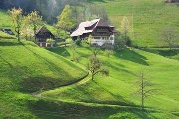 Sonne und Licht - Doppelhaushälfte in Sankt Georgen im Schwarzwald zum Kaufen