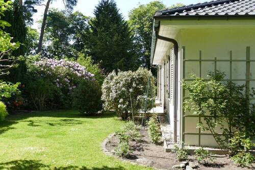 Rosenspalier - 