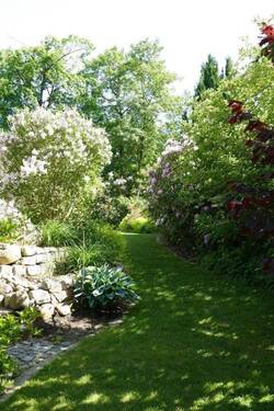 Garteninspiration - 