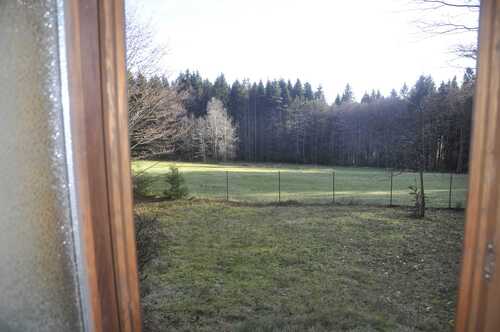 Eingang vom Haus EG - 