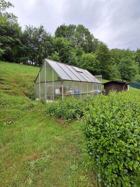 Treibhaus Garten - 