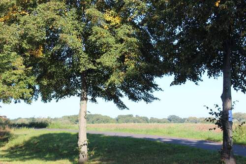 Umgebung-Feld - 