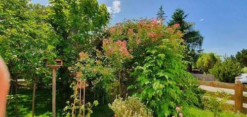 PHOTO-2025-12-07-13-08-11_3.jpg - 