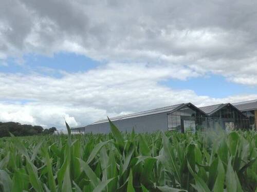 Grundstücksfläche - 