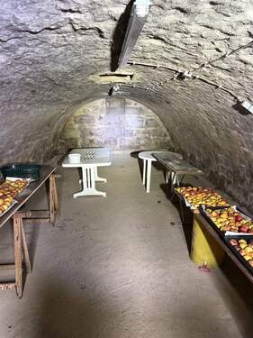 Gewölbekeller unter der Scheune - 