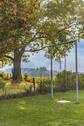 Gartenblick - 