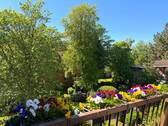 Blick vom Balkon - 