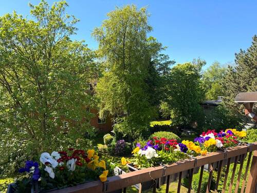 Blick vom Balkon - 
