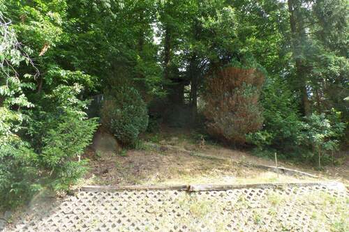 Gartenaufgang Waldstück - 