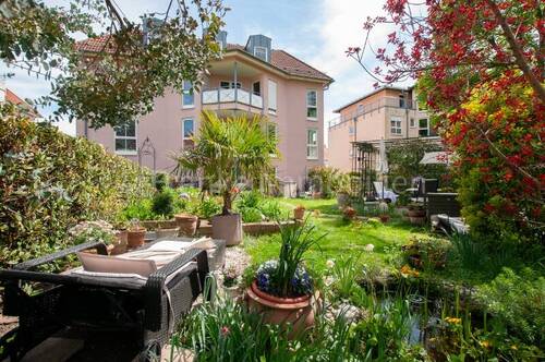 Blick vom Garten zur Terrasse - Laubegast - frei werdende 3-Zimmer-Wohnung mit großem Gartenanteil