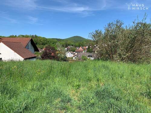 804 m² - Grundstück zum Kaufen in Sailauf