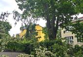 Bild 5 - 
