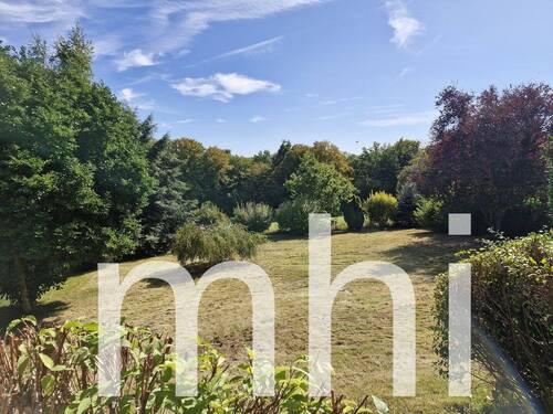 Blick in den Garten - 